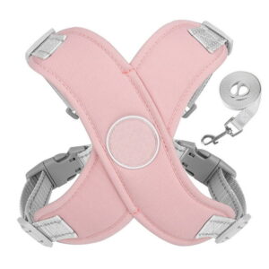 Adjustable Step-In Harness with Leash – Soft Pink