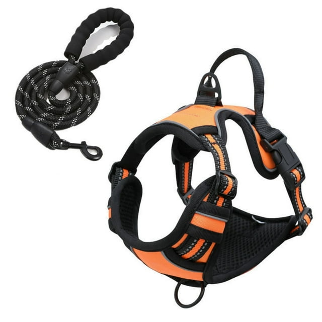 Padded Control Harness with Leash – Black & Orange