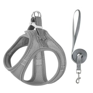 Breathable Mesh Harness with Leash – Gray