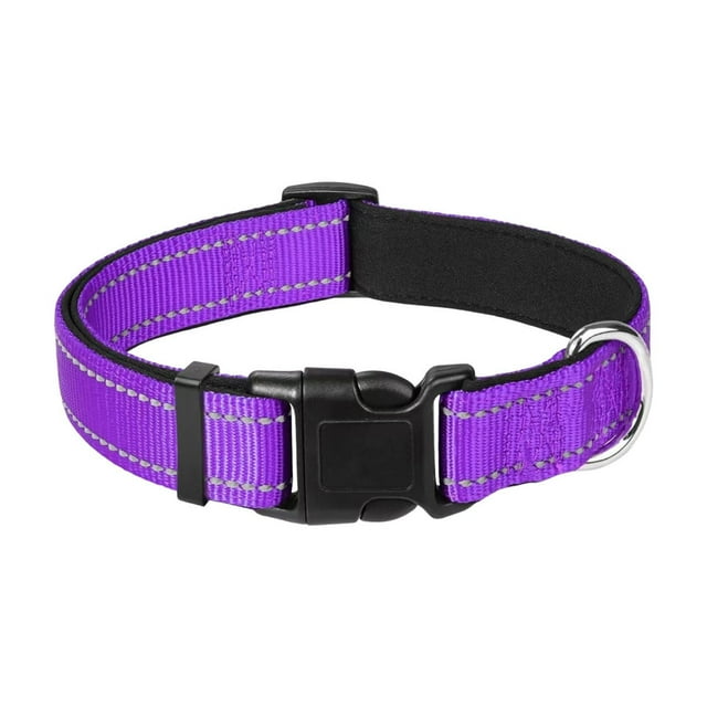 Padded Adjustable Collar – Purple