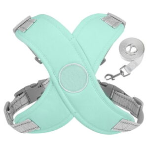 Adjustable Step-In Harness with Leash – Mint Green