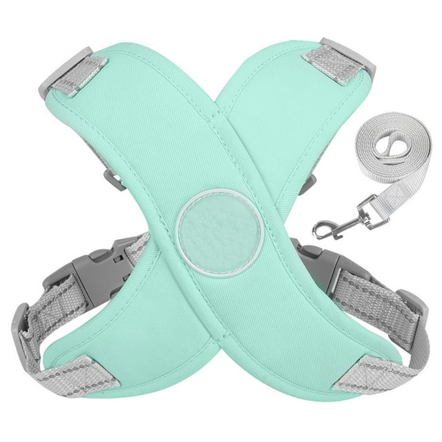 Adjustable Step-In Harness with Leash – Mint Green