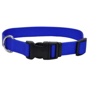 Adjustable Everyday Collar – Blue